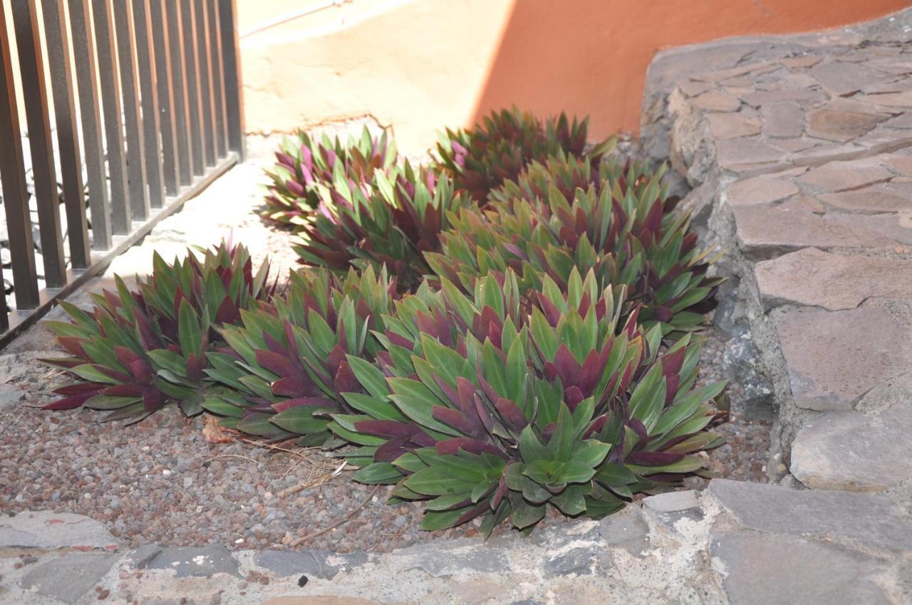 Vivienda Vacacional Villa El Mirador San Sebastián de la Gomera Dış mekan fotoğraf